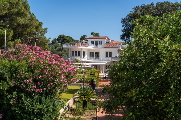 Exterior view 2, Villa Bianca, Cagliari