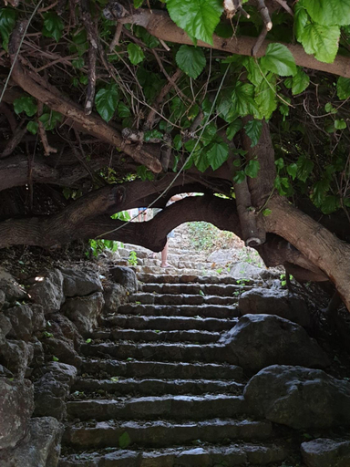 Others 4, Lishansky Since 1936, Marjaayoun