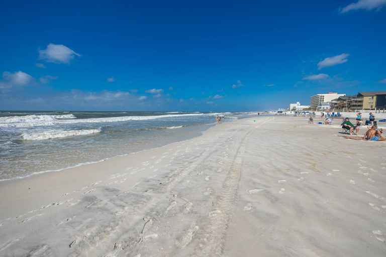 Beach 5, Gulf Village 204 2 Bedroom Condo, Baldwin