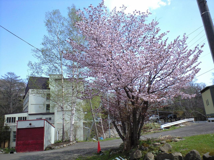 Others 2, Suzuki Ryokan, Noboribetsu