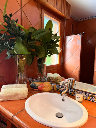 Bathroom 4, La Lagartija Adults Only, Cantabria