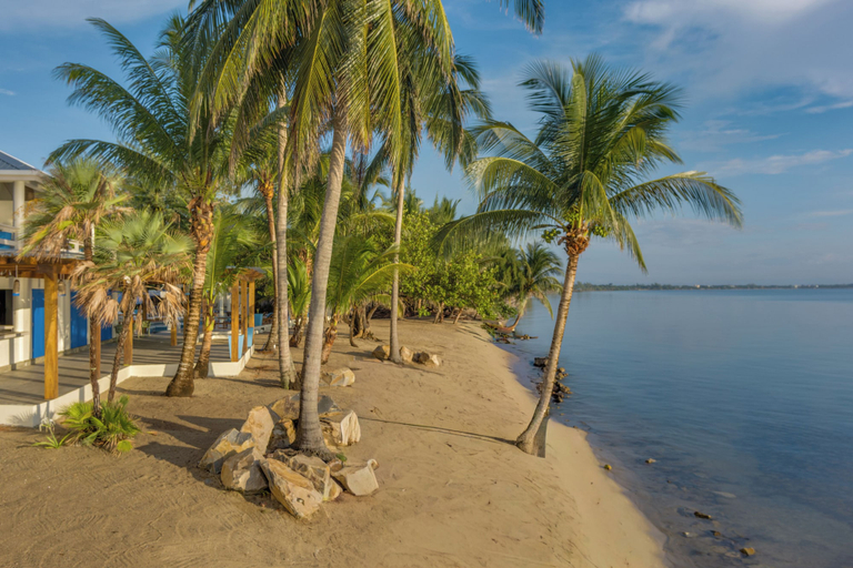 Beach, Blue Reef Beach and Marina