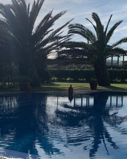 Sport & Beauty 2, La Lagartija Adults Only, Cantabria