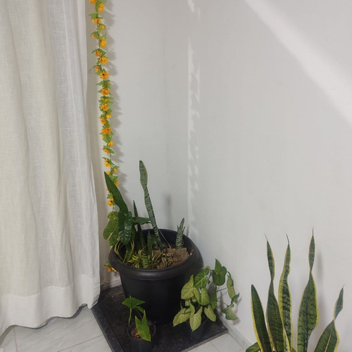 Interior detail, KITNET MEU SONHO BUZIOS, Armação dos Búzios