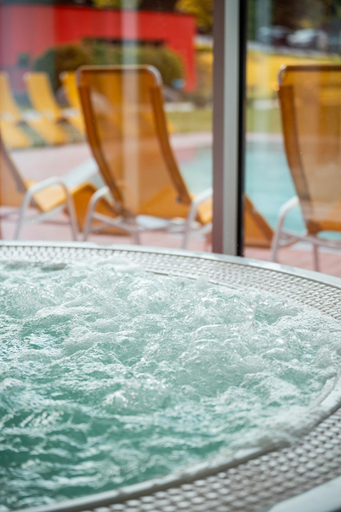 Others 4, Vivea Hotel Bad Goisern, Gmunden