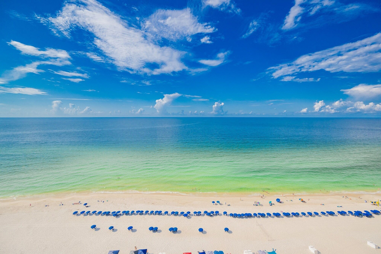 Beach 3, Phoenix Gulf Shores 1602-1 1 Bedroom Condo, Baldwin