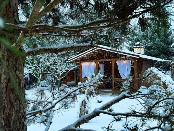 Exterior & Views 1, Садиба в горах, Svaliavs'kyi
