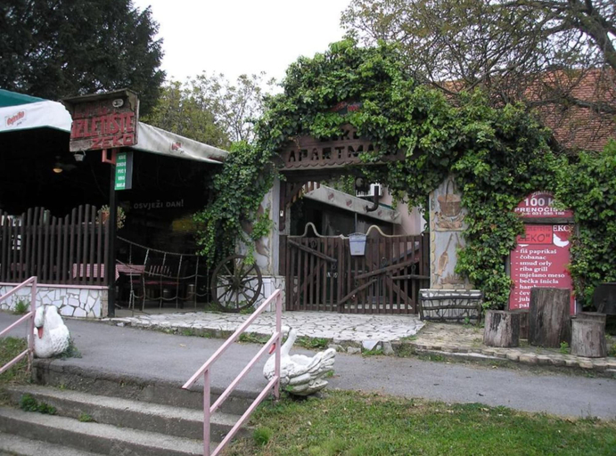 Primary image