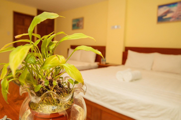 Others 4, Thùy Trang Hotel, Vũng Tàu