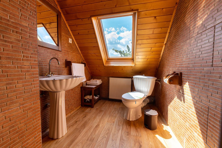 Bathroom 4, Conacul Secuiesc-Szekelyko Kuria Rasfat Complet cu Sauna si Ciubar Incluse, Rametea
