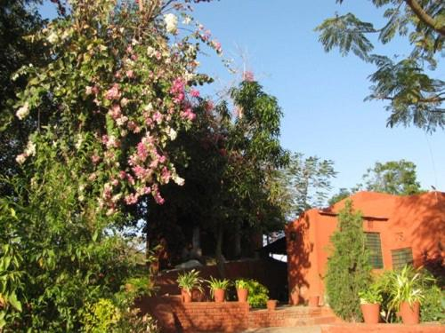 Others 2, Roopam Resort Ranakpur, Pali