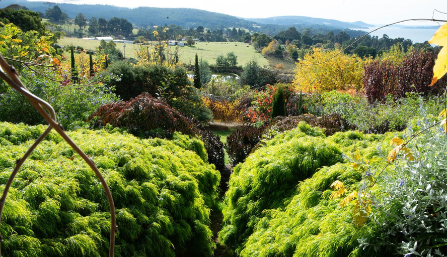 Others 4, The Hill House Panorama, Kingborough