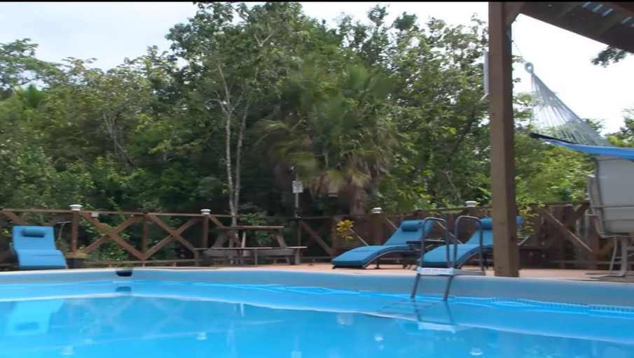 Others 5, Howler Jungle House
