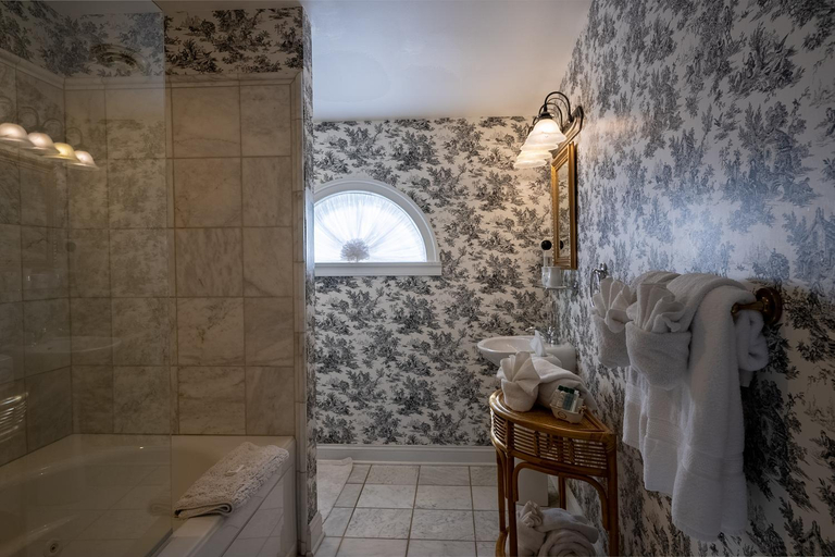 Bathroom 5, Antrim 1844, Carroll