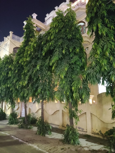 Others 5, Doon Home Stays, Moradabad