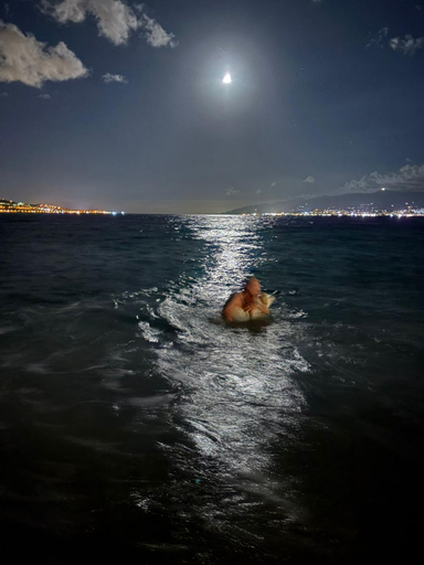 Others 4, Il Marinaio, Messina