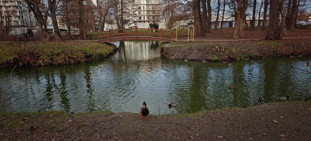 Others 5, GOLD APARTMENTS GreenView, Rzeszów City