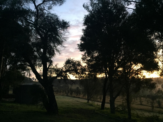 Others 3, Hunter Homestead, Cessnock