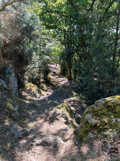 Others 4, La Demeure d'Euphrosine, Sarthe