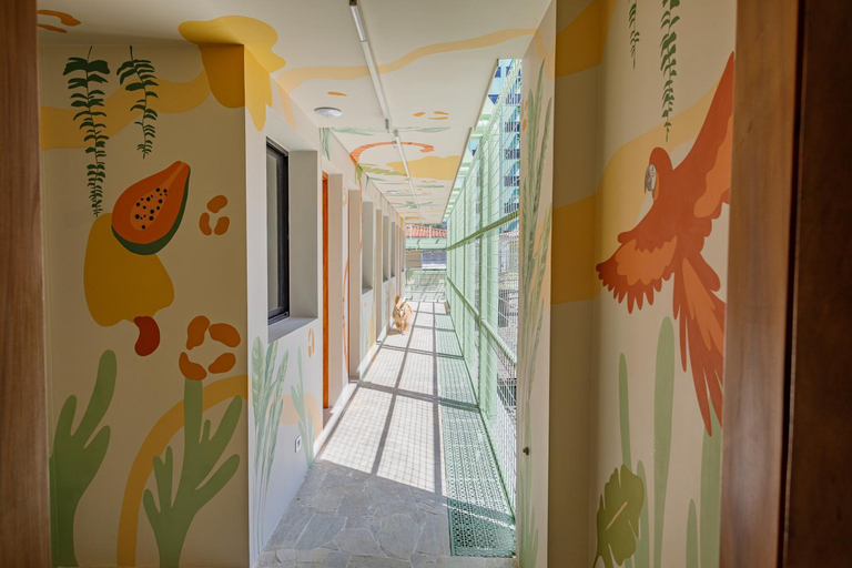 Others 5, Casa Savana, São Paulo