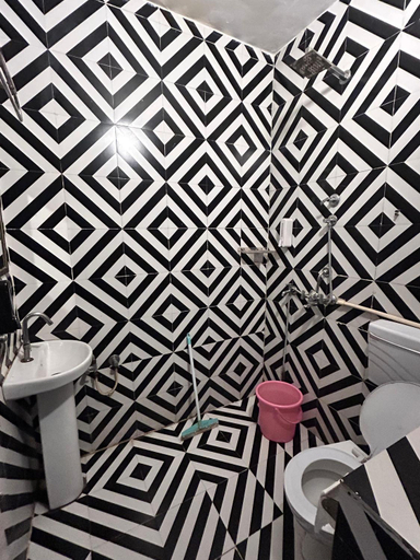 Bathroom 4, Flamingos, Jaipur