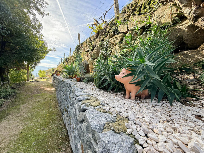 1, Bosque da Fantasia, Baião