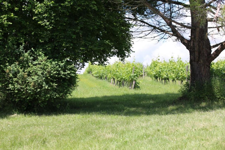 5, Le Domaine du Bel Air, Gironde
