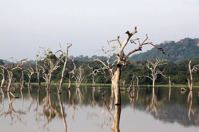 Miscellaneous 5, Yala Eagle Nest, Thissamaharama