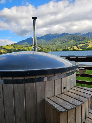 Sport & Beauty 2, Panoramic Chalet Bran, Bran