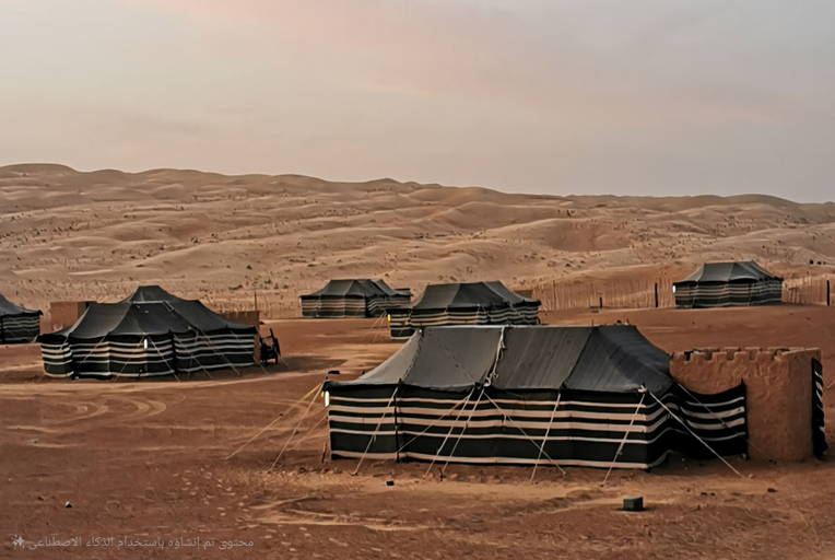 Miscellaneous 5, Desert wondersCamp, Biddiya