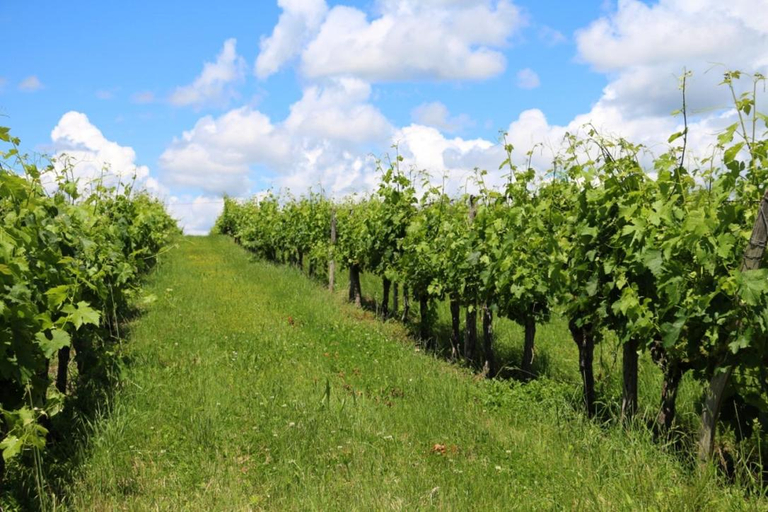 4, Le Domaine du Bel Air, Gironde