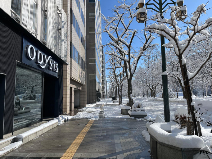 Exterior & Views 2, Odysis Sapporo Odori Koen Hotel, Sapporo