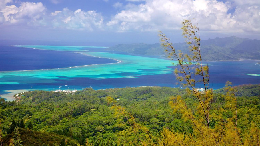 2, Hava'i Lodge