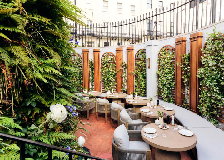 Food & Drinks 5, 2 Chesham Hotel, London