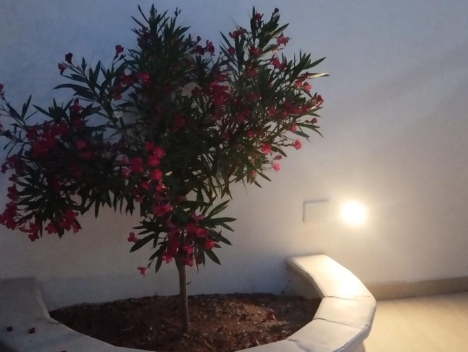 Others 4, Le Calette Residence, Agrigento