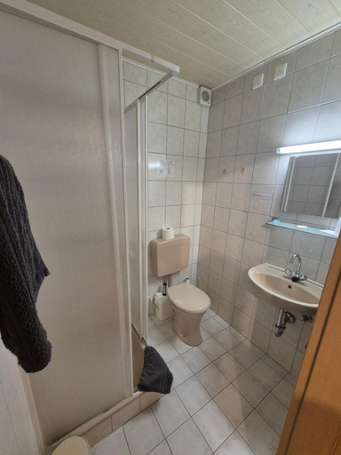 Bathroom 2, Zum Bergbauern, Neustadt an der Waldnaab