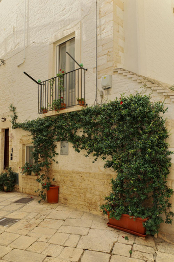 Exterior & Views 2, Borgo Noci, Bari
