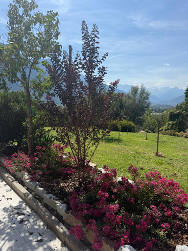 Others 4, Leo home, Aosta