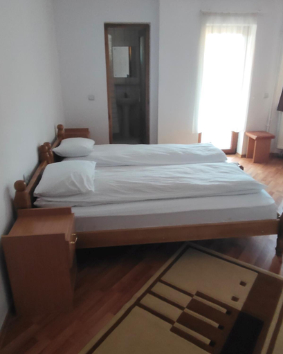 Others 3, Pensiunea Patru Brazi, Baisoara