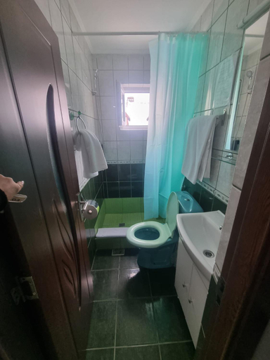 Bathroom 2, Pensiune Restaurant Sfinx, Busteni
