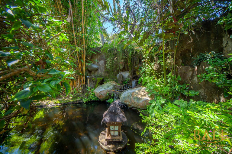 Others 5, Treasure of Bali, 3BR villa, infinity pool, staff, Buleleng
