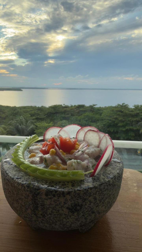 Food & Drinks 5, Beachfront Three-Story Coastal Penthouse, 3BR-3BA, Benito Juárez