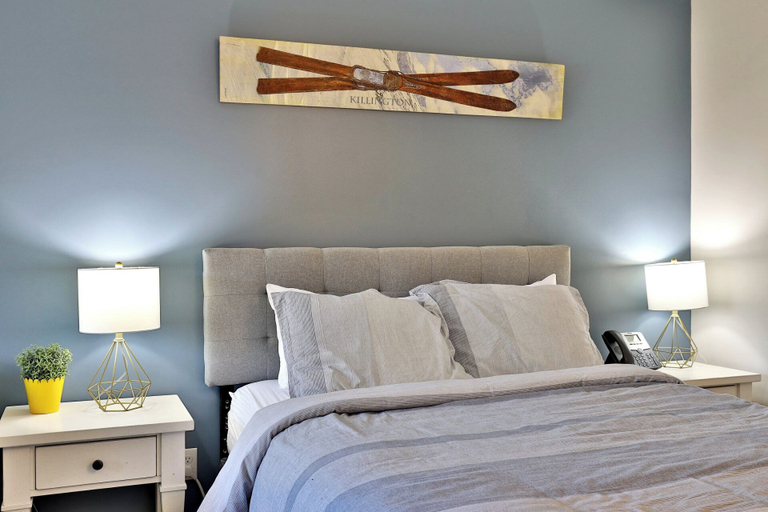 Room, Cozy Studio Condo on the Bus Route, Rutland
