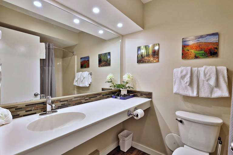Bathroom 4, Cozy Hotel Room Style Studio Condo With Pool, Rutland