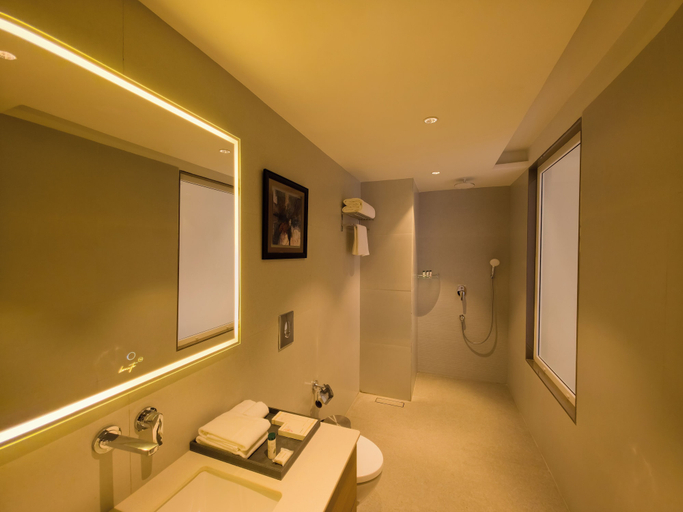 Bathroom 2, The Aviyaan, Lucknow