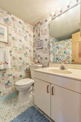 Bathroom 2, Errol I, Volusia