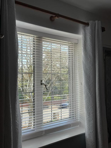 Interior 5, West Ave Exeter, Devon