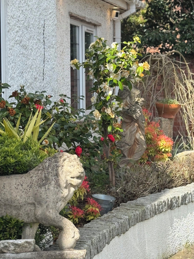 Exterior detail 4, West Ave Exeter, Devon