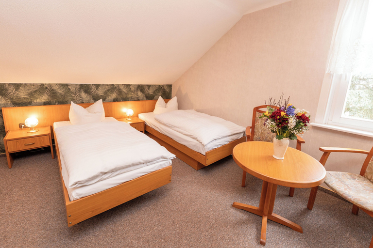 Room 5, Hotel Waldhaus Waltershausen, Gotha