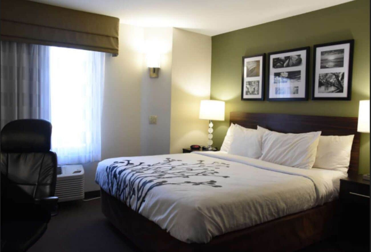 Room 2, Sky Harbor Airport Inn, Maricopa